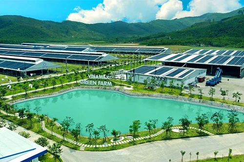 Vinamilk đại diện duy nhất từ Đông Nam Á chia sẻ mô hình phát triển bền vững ‘Green Farm’ tại Hội nghị sữa toàn cầu