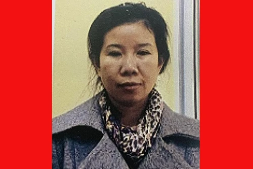 Giám đốc Công ty cổ phần DHD tổ chức nhập cảnh Việt Nam trái phép