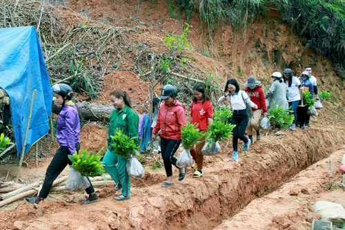 Tết An Bình 2021 “phủ xanh” vùng biên giới huyện Tây Giang (Quảng Nam) 
