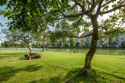 Biệt thự hạng sang tăng giá vẫn đắt hàng