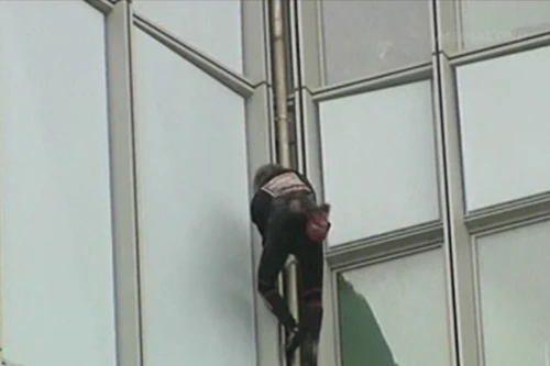 “Người nhện” chinh phục đỉnh cao mới