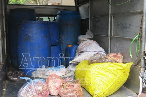 “Chặn đứng” xe tải chở 300kg lòng thối đi Bắc Giang