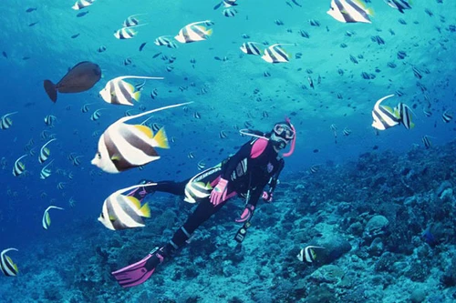 3 lý do Nha Trang đạt top 10 điểm đến hấp dẫn nhất Châu Á 2016