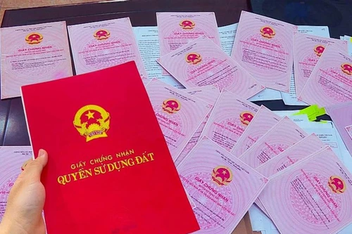 Đôi vợ chồng làm giả sổ đỏ lừa đảo 19,7 tỉ đồng sa lưới