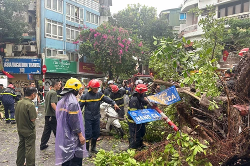 Cảnh sát PCCC và CNCH gồng mình xử lý cây đổ trong mưa bão