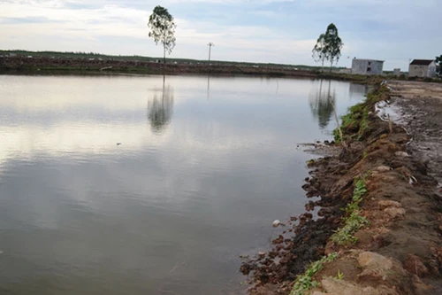 Sảy chân rơi xuống ao tôm, hai anh em họ đuối nước thương tâm