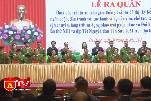 Phòng, chống vi phạm pháp luật về pháo trong dịp Tết Nguyên đán Tân Sửu