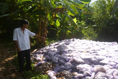 Dân bức xúc vì hàng tấn gia vị lỏng bốc mùi nồng nặc trong khu nghĩa địa