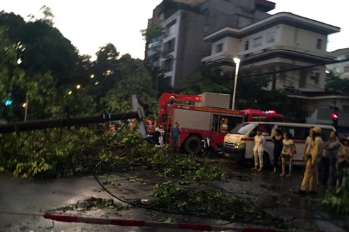 Phó chủ tịch UBND TP Hà Nội trực tiếp kiểm tra, chỉ đạo khắc phục sự cố đổ cây, tai nạn