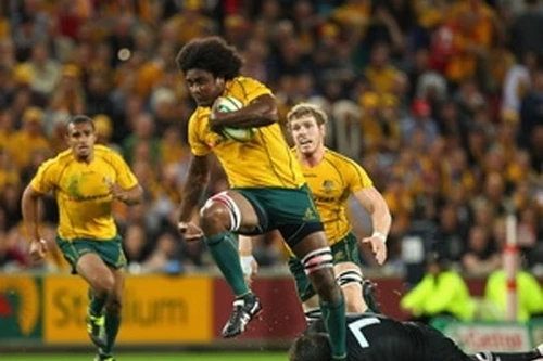 Thể thao Australia choáng vì tội phạm có tổ chức