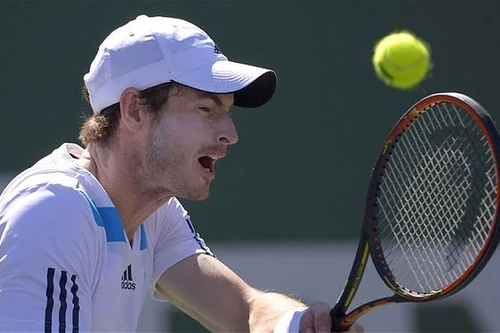 Indian Wells: Tiếp tục có địa chấn