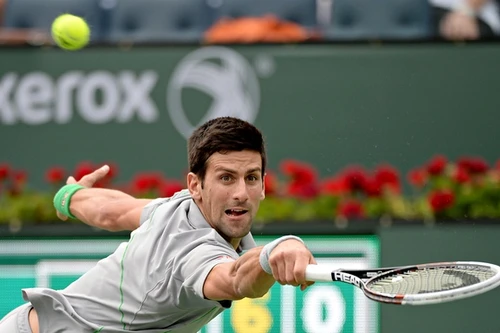 Djokovic suýt "ôm hận"
