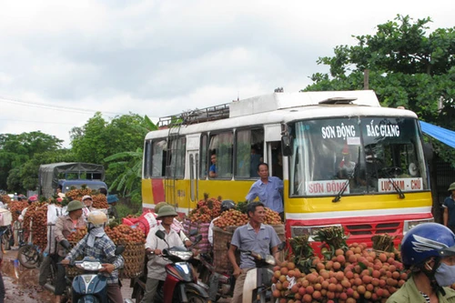 Hoa quả vào mùa: Mỗi chợ một giá