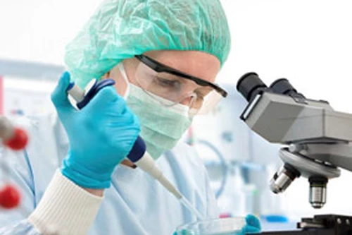 Phát hiện hợp chất tiêu diệt tế bào ung thư.