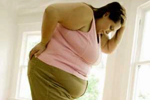 Phát hiện protein mới liên quan tới béo phì