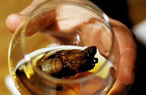 Một loại cocktail rùng rợn được ngâm từ những ngón chân người