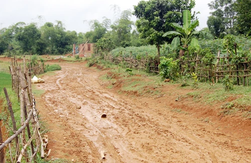 Những cái chết bất thường và chuyện long mạch “ăn thịt người”