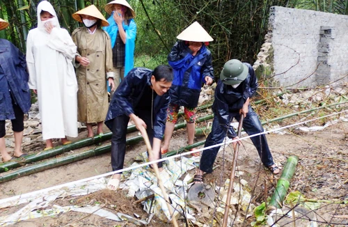 Dung túng, bao che vi phạm môi trường