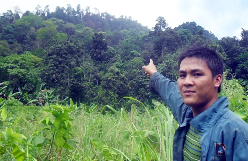 Một ngọn núi bỗng dưng phun lửa, nhả khói - có phải “thần núi” thức giấc báo điềm gở