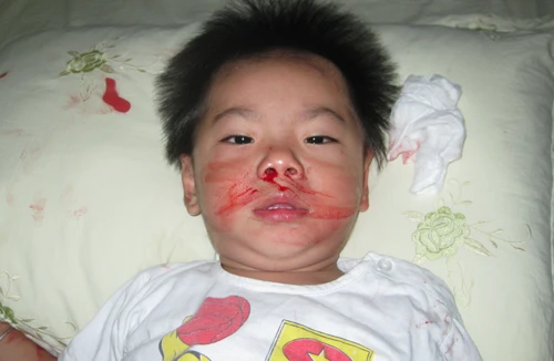 Sự thật cay đắng của vụ Việt kiều Úc “cài cắm” người giúp việc bắt cóc con trai