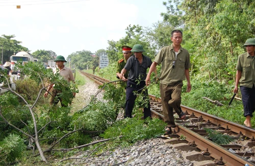Kiên quyết giảm tai nạn, ùn tắc giao thông