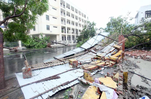 Tan hoang sau bão số 11