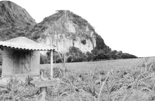 Sự thật núi thiêng xứ Mường