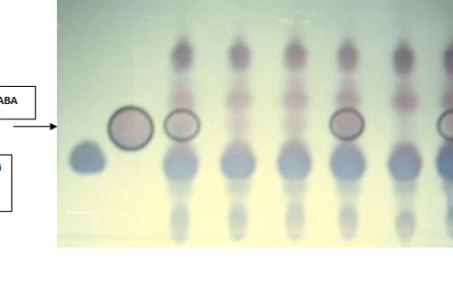 Nguyên liệu mới cho thực phẩm chức năng Việt Nam