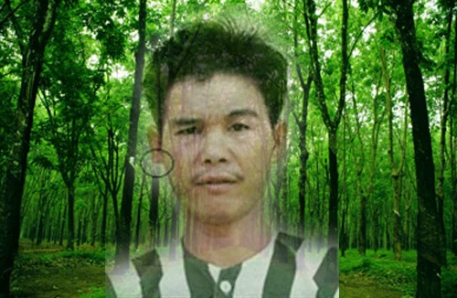 "Bóng ma" dâm đãng trong cánh rừng cao su vắng người