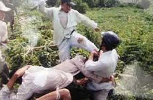 Hãi hùng với “côn đồ xóm” 