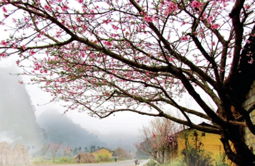 Hạnh phúc nhất là cảm giác khi trở về