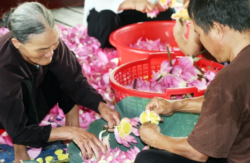 “Phường Văn hóa” đầu tiên của Thủ đô