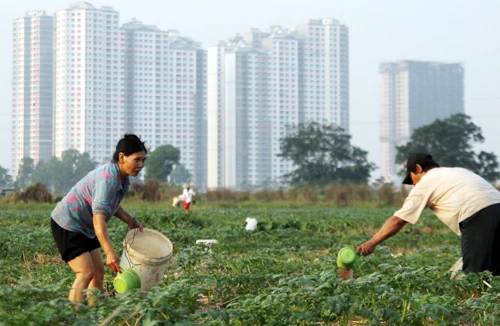 Cần hiến định chặt chẽ về thu hồi đất