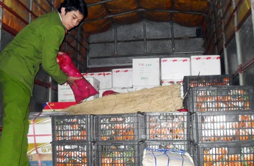 Một đêm “săn” hoa quả Trung Quốc nhập lậu