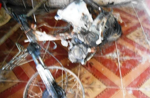 Trộm chó giữa ban ngày, bị đánh trọng thương