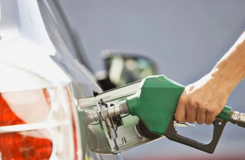 Nhiên liệu xanh từ nấm