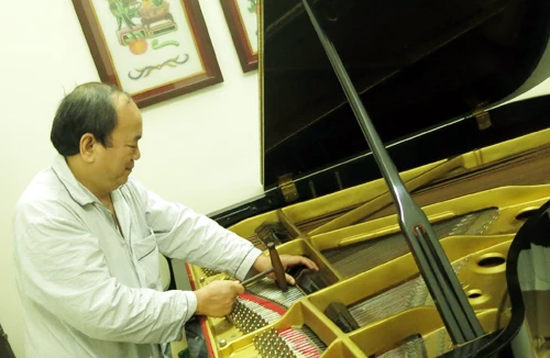 “Bác sĩ bắt bệnh” Dương Cầm