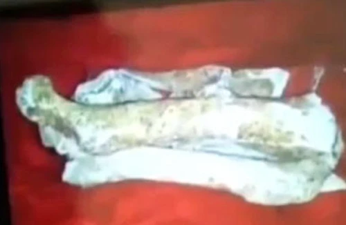 Nhà tâm linh tìm mộ, làm giả hiện vật và hài cốt để lừa đảo, có đồng phạm hay không?