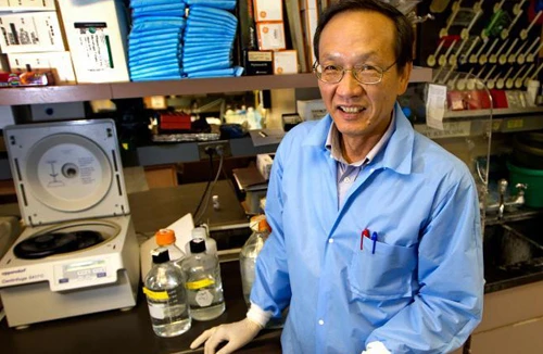 Hy vọng mới cho phụ nữ suy buồng trứng