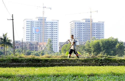 Công bố 8 luật, 1 pháp lệnh mới