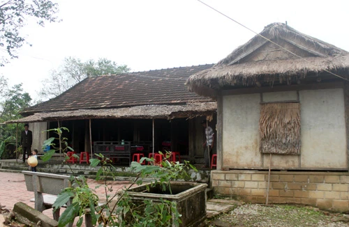 Cây khế bách niên và tuổi thơ Đại tướng