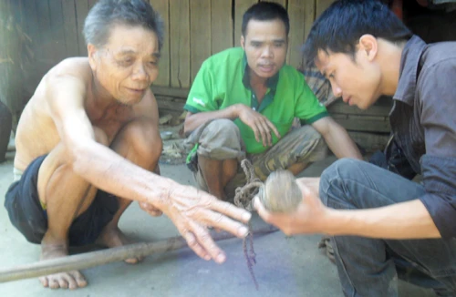 Hoạn trâu: Nghề nguy hiểm