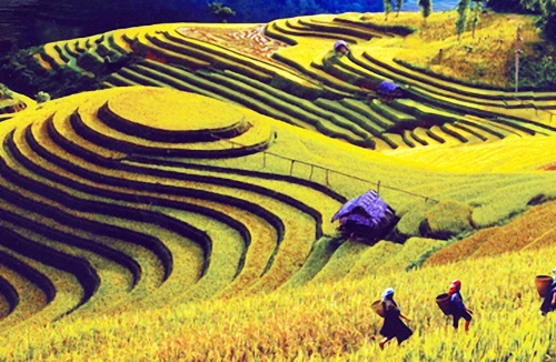 Đường lên Trống Pá Sang 