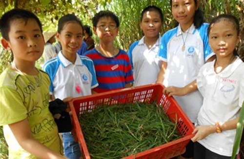 Những tiết học mang hơi thở cuộc sống