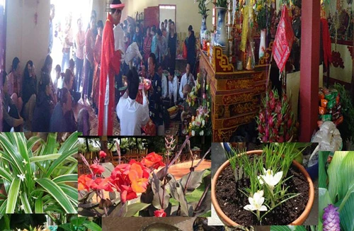 Bùa ngải - Bức màn huyền hoặc: Chuyến đi tìm ngải