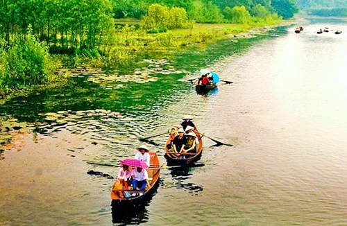 Mùa chim di trú trên đầm Vân Long