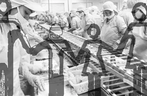 Trụ cột của nền kinh tế lớn