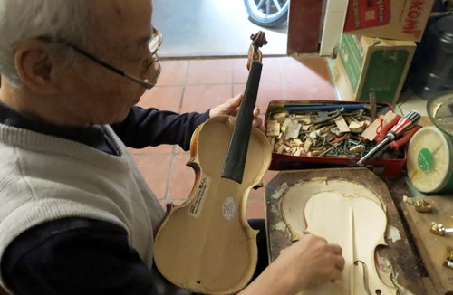 Vĩ cầm “thương hiệu Việt”