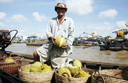 Thương lái nước ngoài thu gom nông sản: Để lại tiếng xấu cho hàng Việt