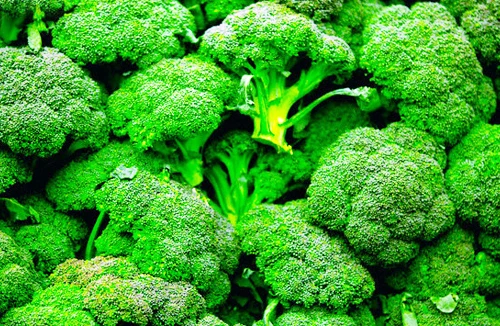 Ăn súp lơ xanh, tốt nhất nên hấp